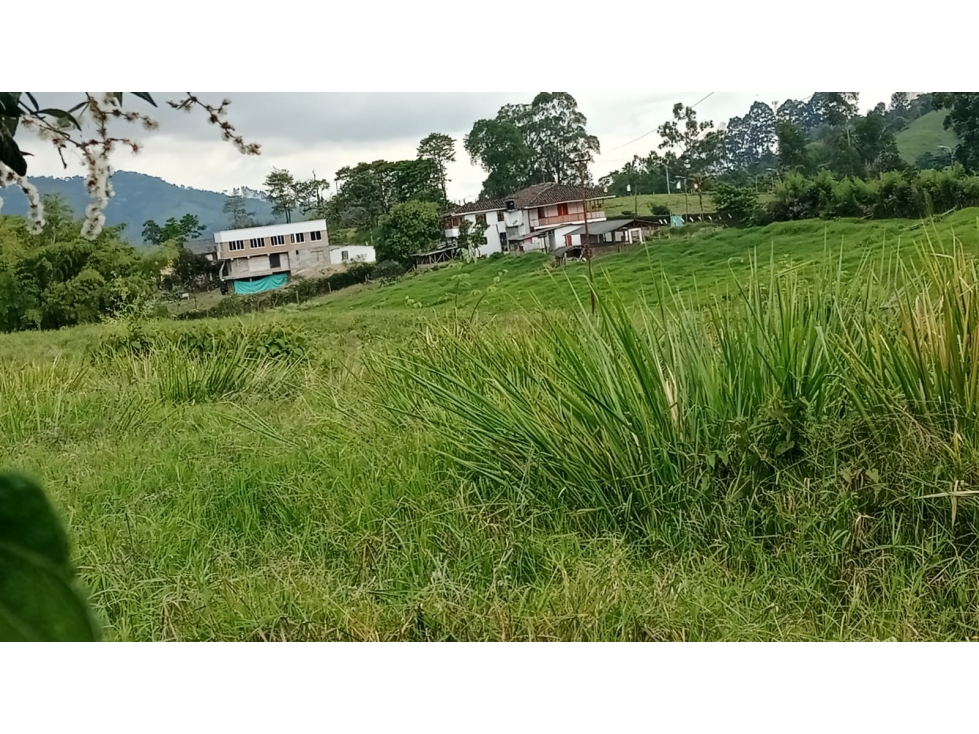 LOTE EN VEREDA LA BELLA PEREIRA — foto 4