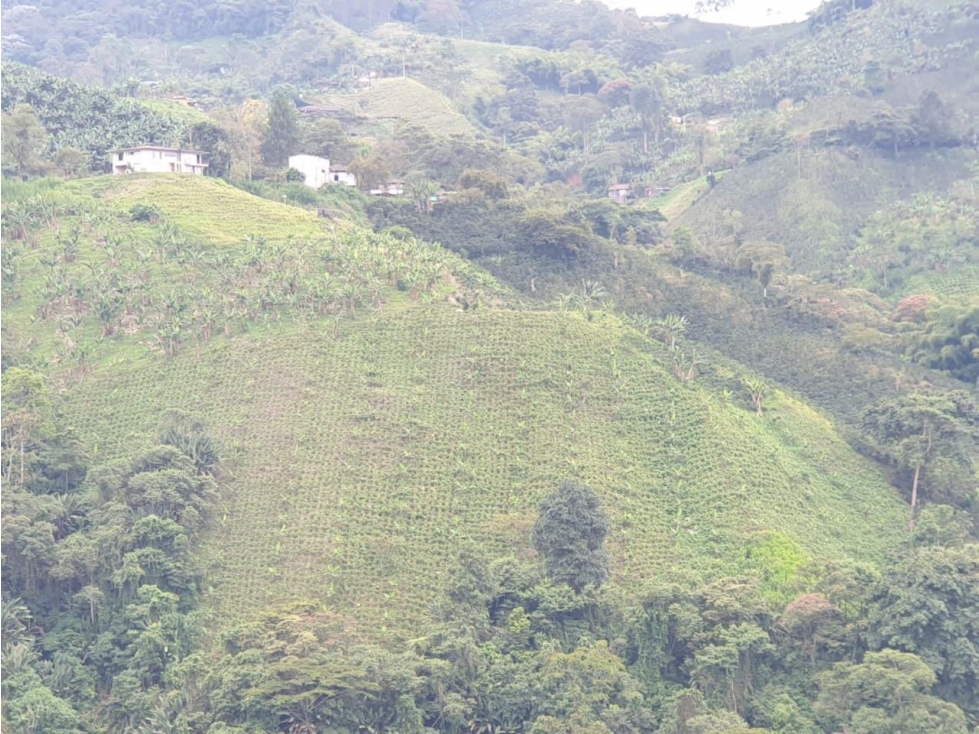 HERMOSA FINCA EN LA VIA MARSELLA — foto 4