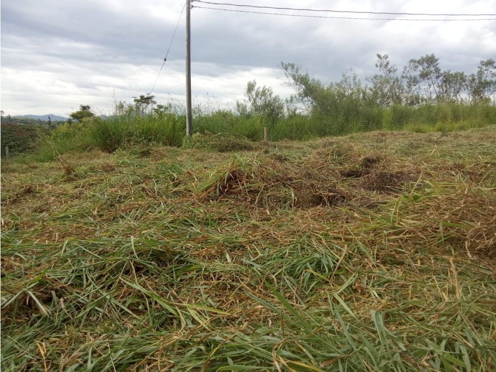 Lotes en Venta en Condominio Cerrado Vía Alcalá — foto 5