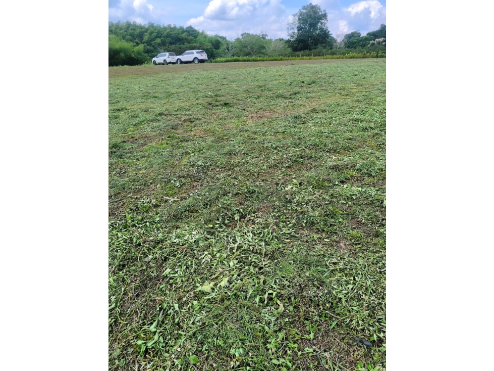 Lote plano en Cerritos Ideal para invertir o desarrollar — foto 5