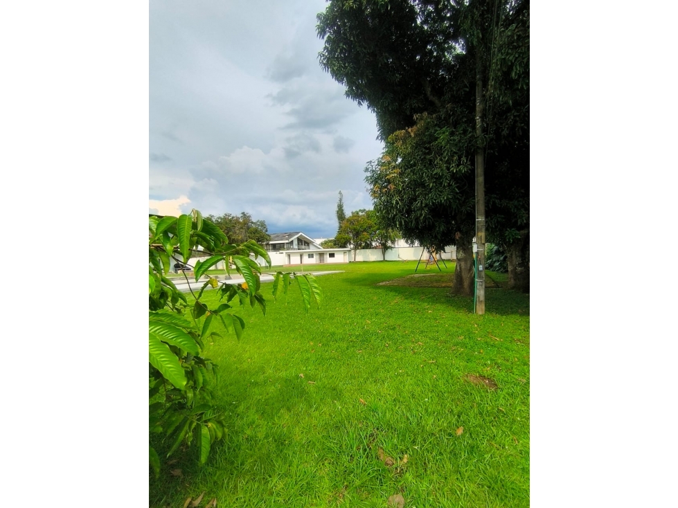 Lote Comercial e Industrial en Cerritos Ubicación Estratégica - 1