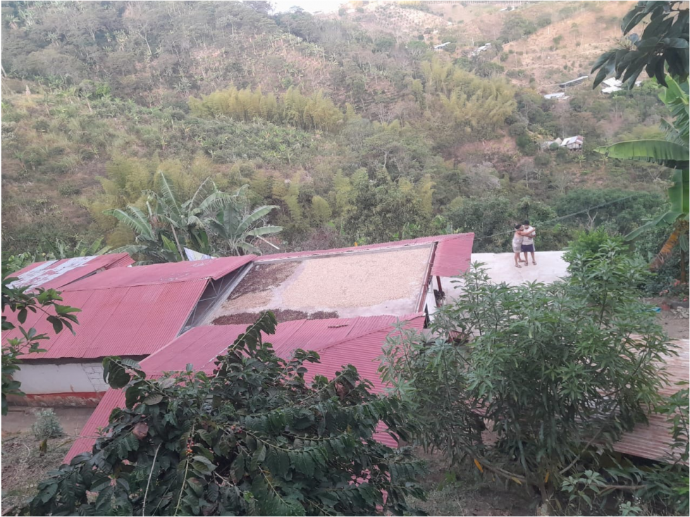 Finca en venta Balboa, Vereda Tambores - 4