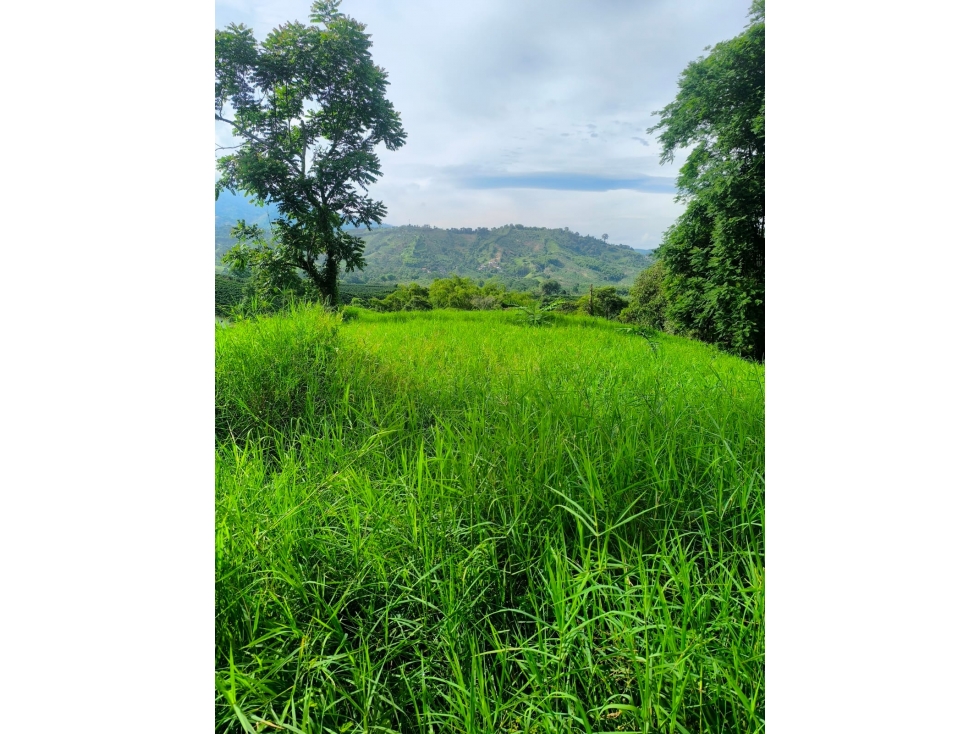 FINCA EN VENTA COMBIA, VÍA A MARSELLA, PEREIRA — foto 6