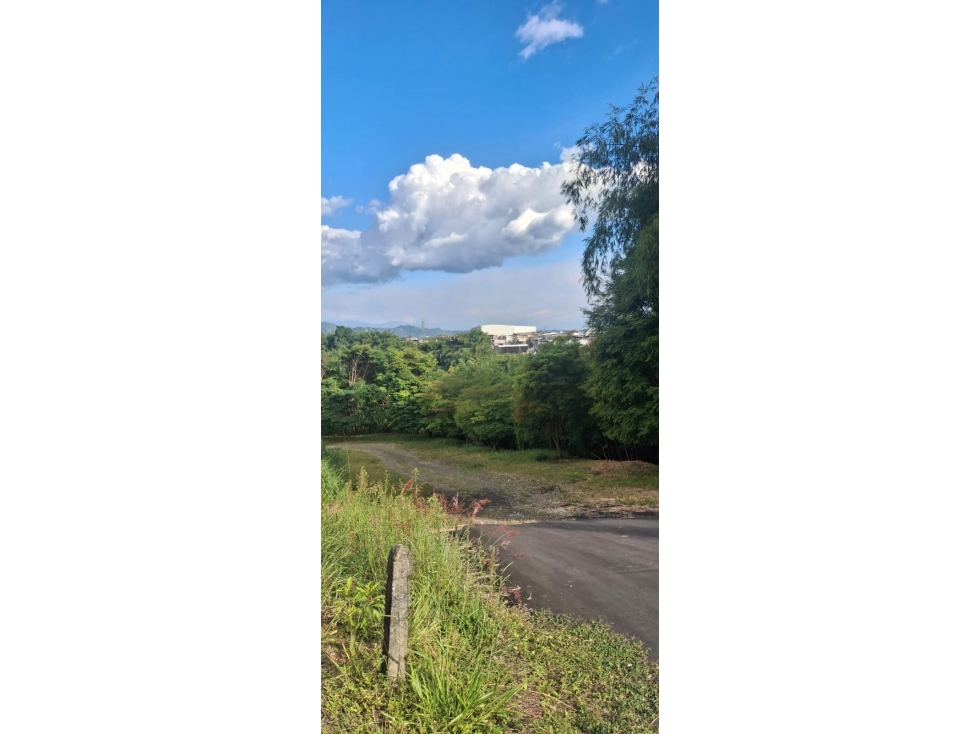TERRENO INDUSTRIAL EN VENTA 30.000 M² AVENIDA EL POLLO, PEREIRA — foto 4