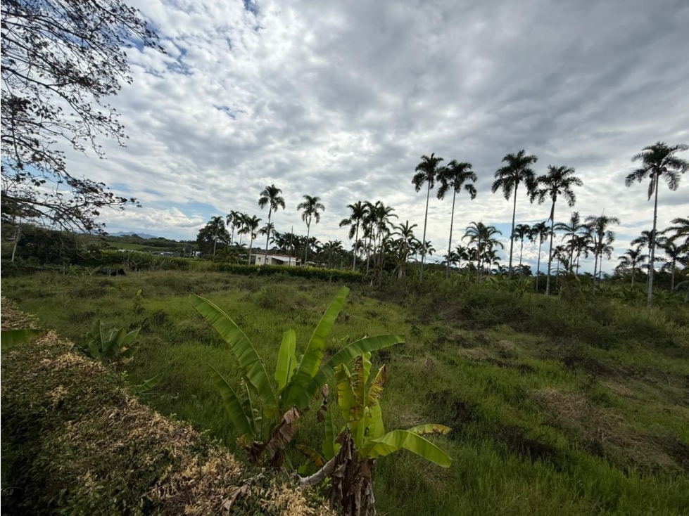 LOTE DE 6.400 M² EN ENTRADA 11 CERRITOS, PEREIRA - 4