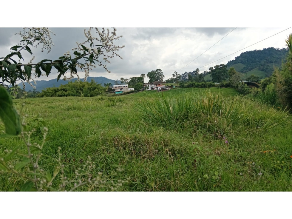 LOTE EN VEREDA LA BELLA PEREIRA — foto 5