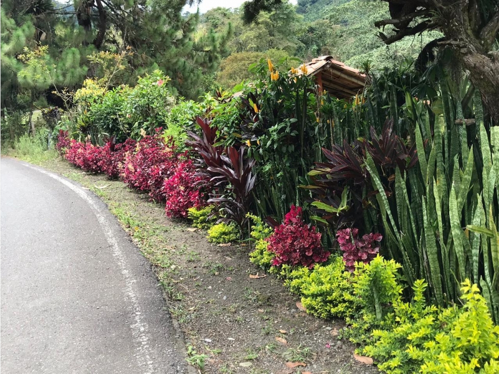 HERMOSA FINCA EN LA VIA MARSELLA — foto 5