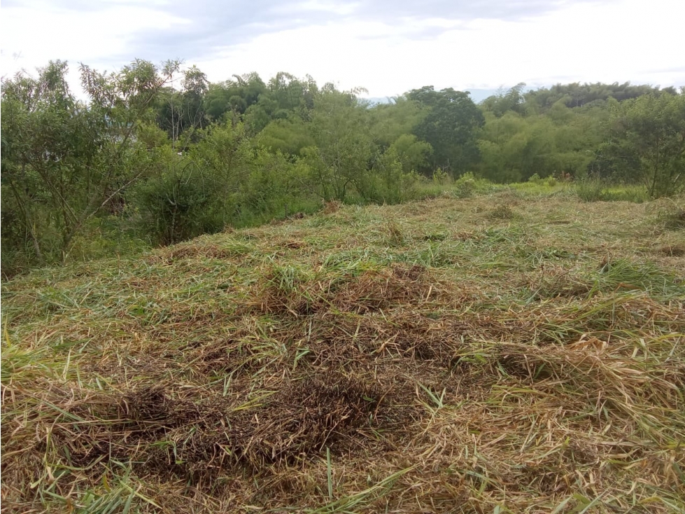 Lotes en Venta en Condominio Cerrado Vía Alcalá — foto 6