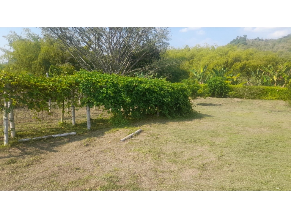 Lote en venta Combia sector La Siria, Pereira — foto 3