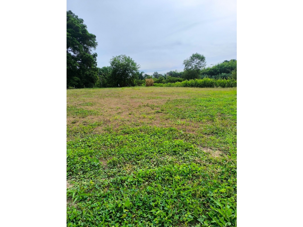 LOTE DE 2.000 M² COMPLETAMENTE PLANOS EN CERRITOS