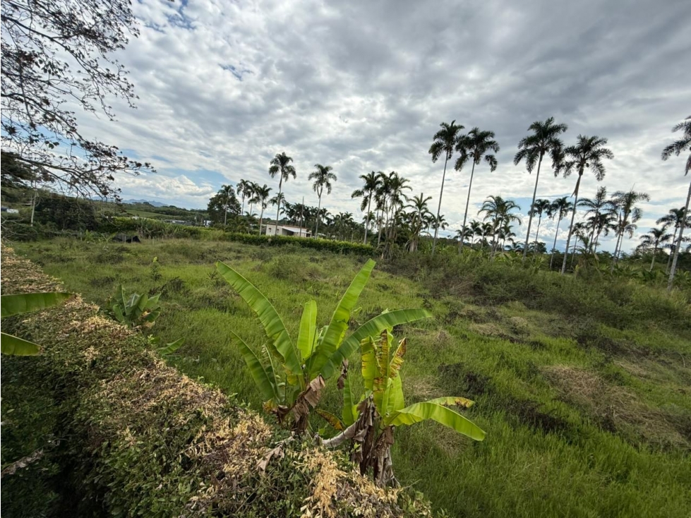 LOTE DE 6.400 M² EN ENTRADA 11 CERRITOS, PEREIRA - 5