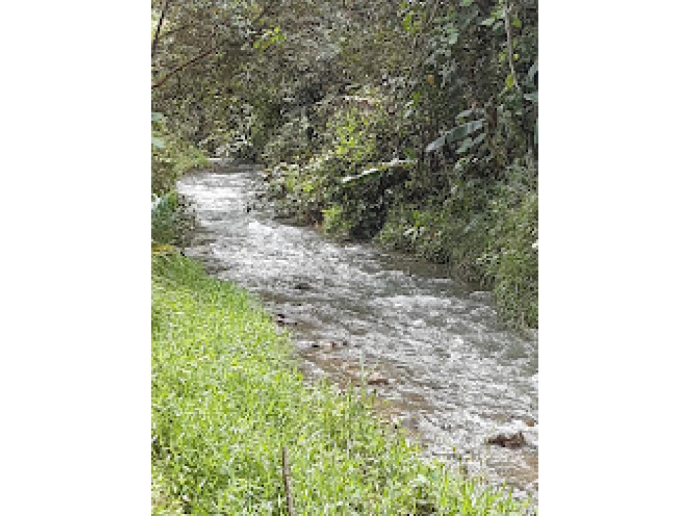 Finca en Pueblo Rico con infraestructura cafetera y 43,75 cuadras - 5