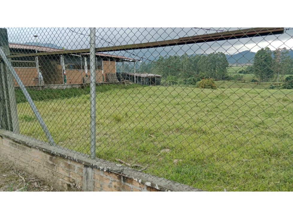 LOTE EN VEREDA LA BELLA PEREIRA — foto 6
