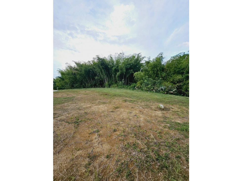 LOTES CAMPESTRES EN CERRITOS MALABAR — foto 6