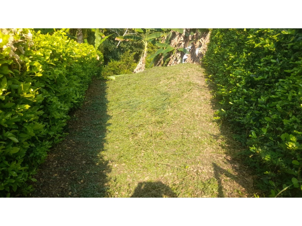 Lote en venta Combia sector La Siria, Pereira — foto 4