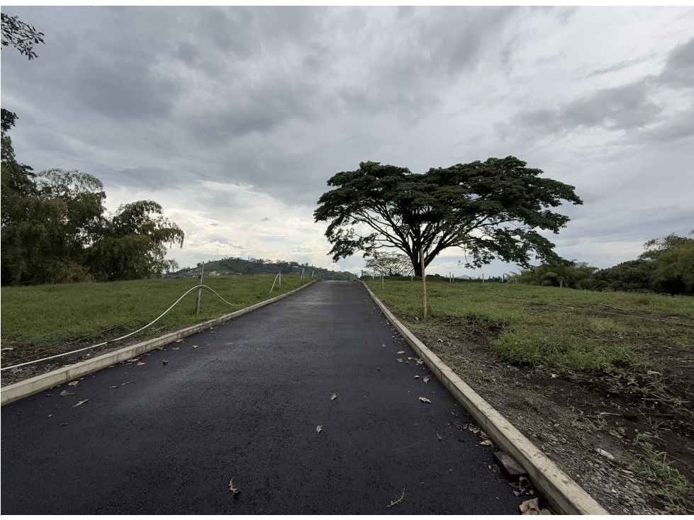 Invierte en Condina: lotes con vista panorámica y alta valorización — foto 6