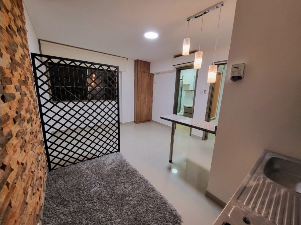 12 APARTAESTUDIOS CON RENTA ACTIVA EN ZONA CENTRO DE PEREIRA — foto 6