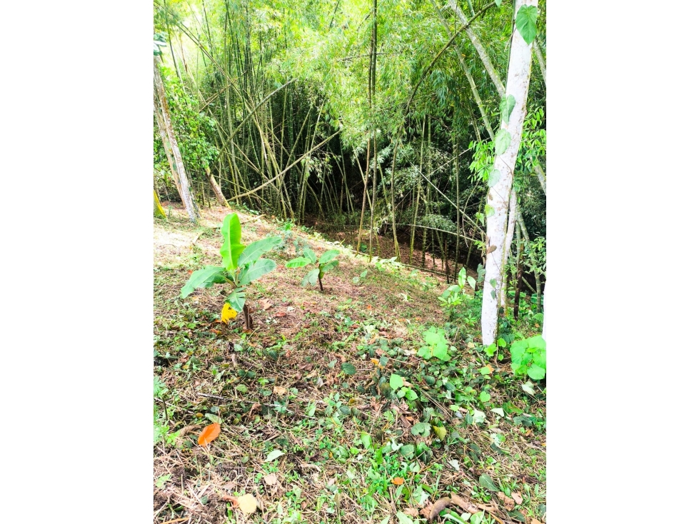 Lote plano en Cerritos Ideal para invertir o desarrollar — foto 6
