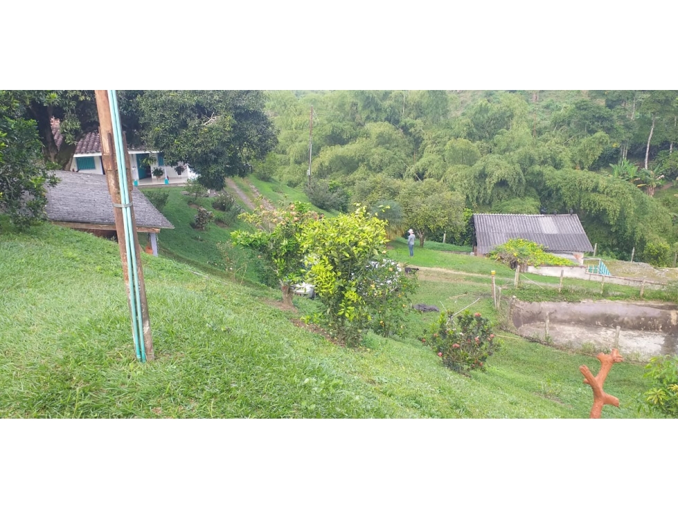 Finca Multipropósito en Combia Pereira — foto 4