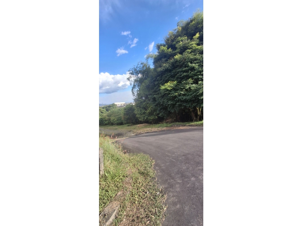 TERRENO INDUSTRIAL EN VENTA 30.000 M² AVENIDA EL POLLO, PEREIRA — foto 3