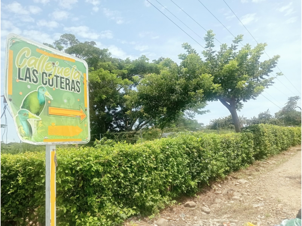 SE VENDE LOTE CAMPESTRE KM 1 YOPAL VIA SIRIVANA SECTOR SORBETO — foto 4