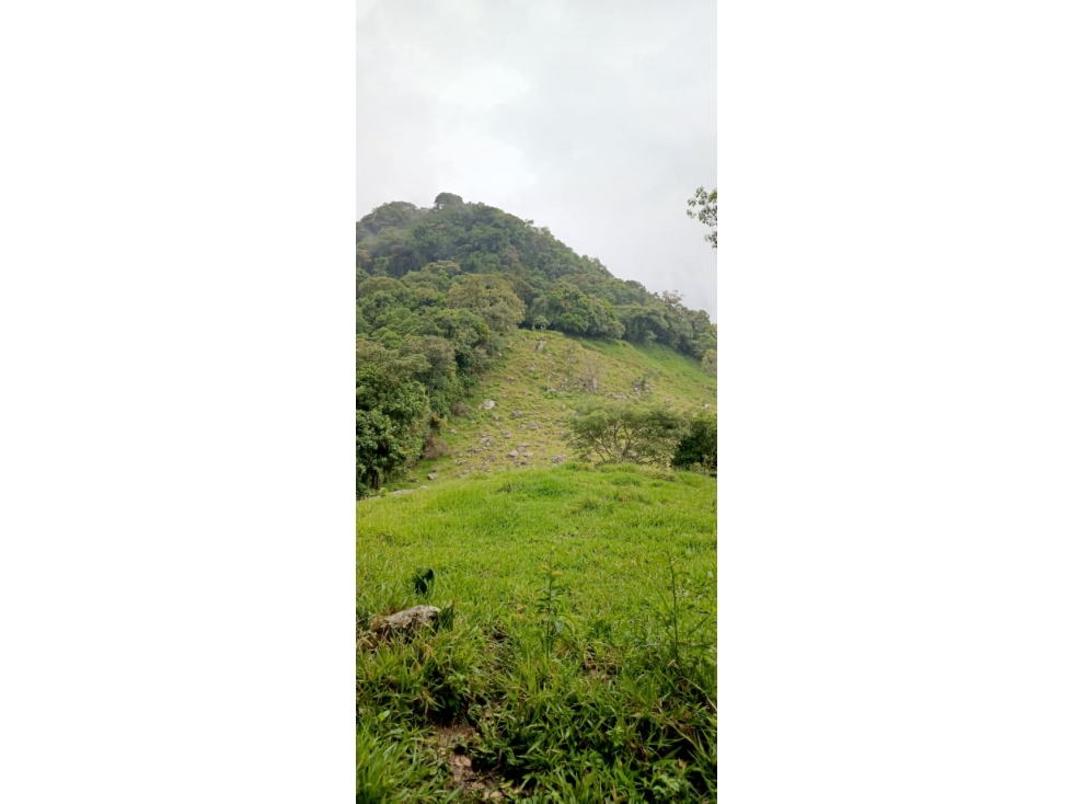 SE VENDE FINCA GANADERA VEREDA SAN BENITO AGUAZUL- VIA PAJARITO BOYACÁ - 2