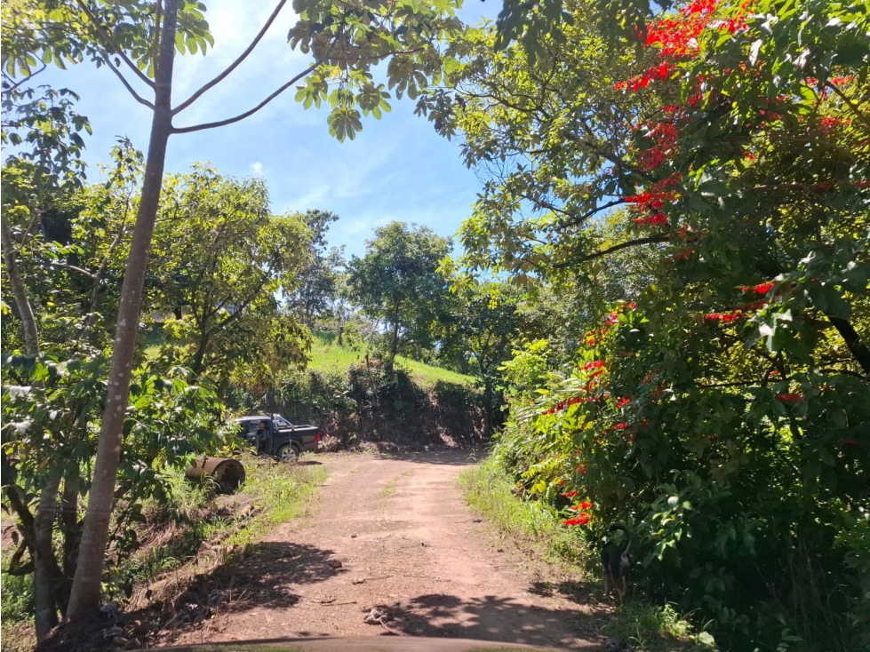 SE VENDE LOTES CAMPESTRES ALTOS DE LAS CAYENAS- GUAFILLA YOPAL — foto 2