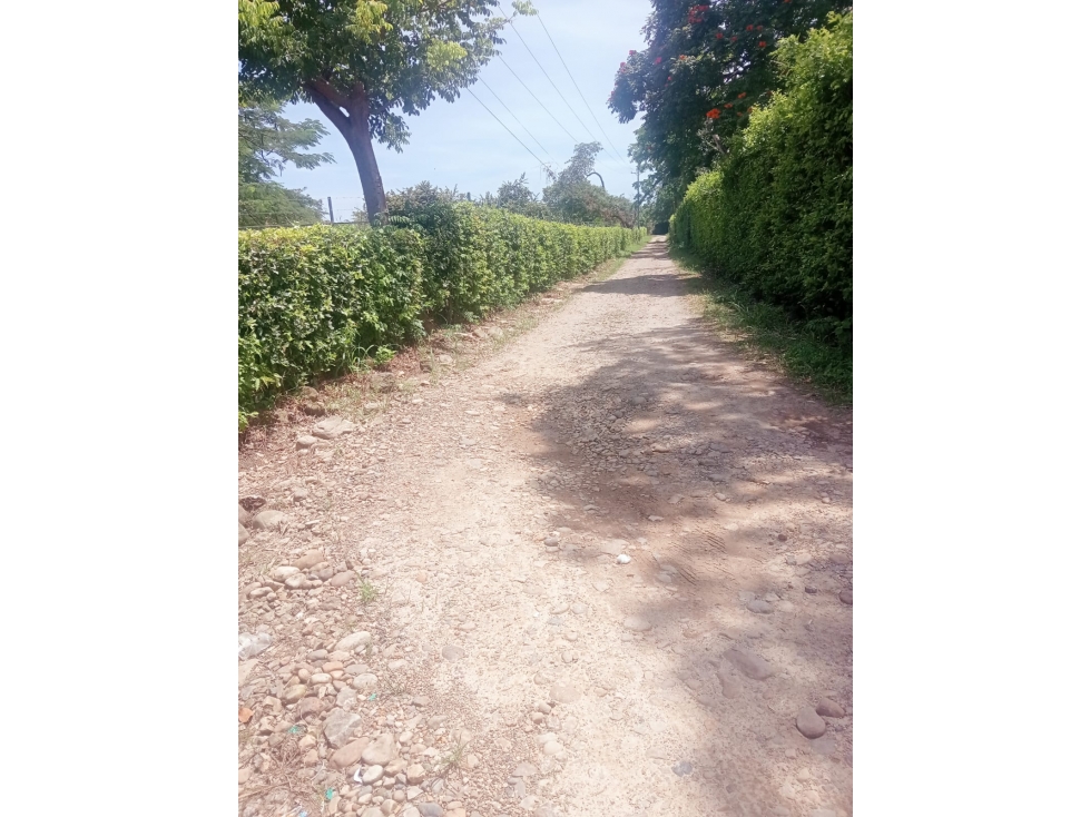 SE VENDE LOTE CAMPESTRE KM 1 YOPAL VIA SIRIVANA SECTOR SORBETO — foto 5