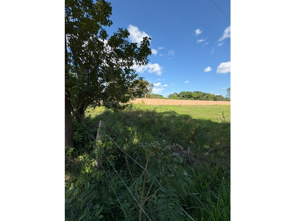 SE VENDE AMPLIO LOTE DE TERRENO CORREGIMIENTO DE MORICHAL — foto 2