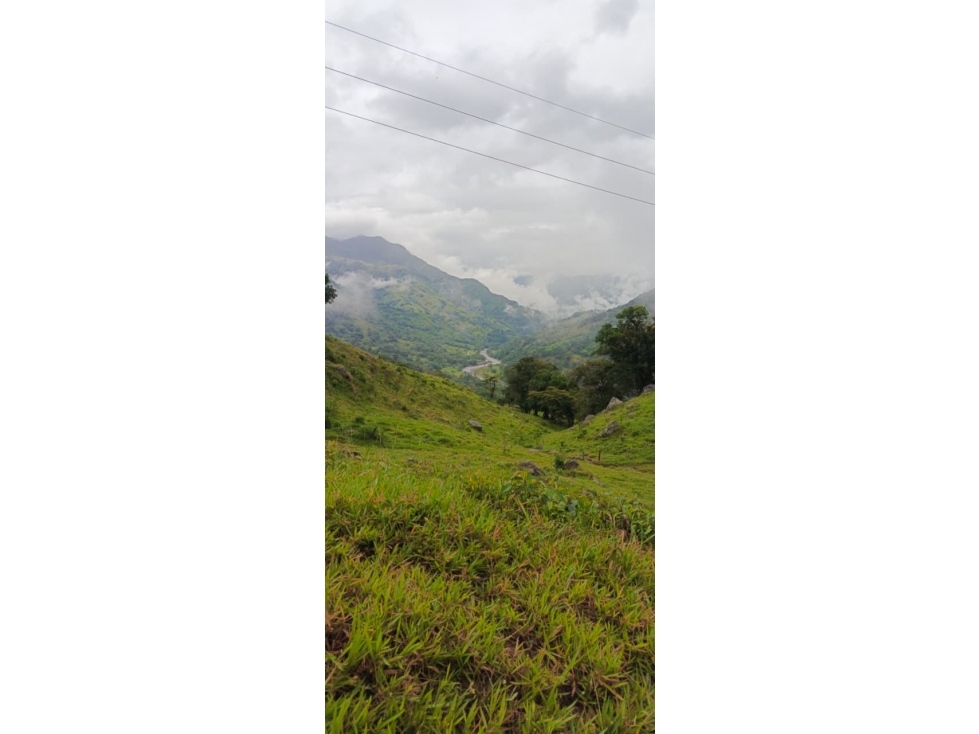 SE VENDE FINCA GANADERA VEREDA SAN BENITO AGUAZUL- VIA PAJARITO BOYACÁ - 3