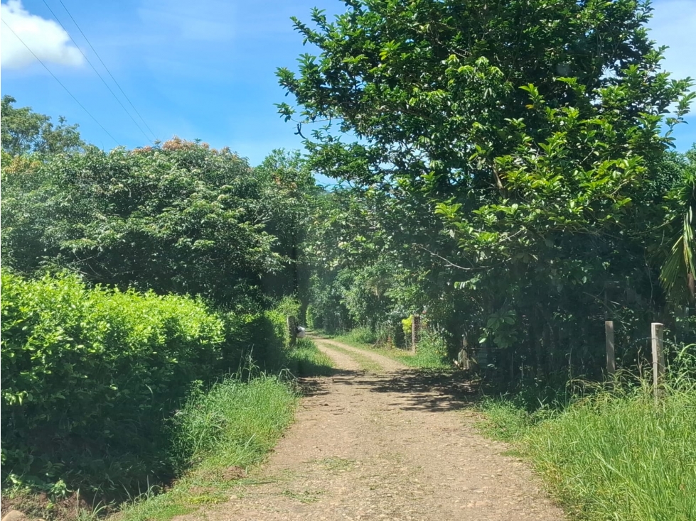 SE VENDE LOTES CAMPESTRES ALTOS DE LAS CAYENAS- GUAFILLA YOPAL — foto 3