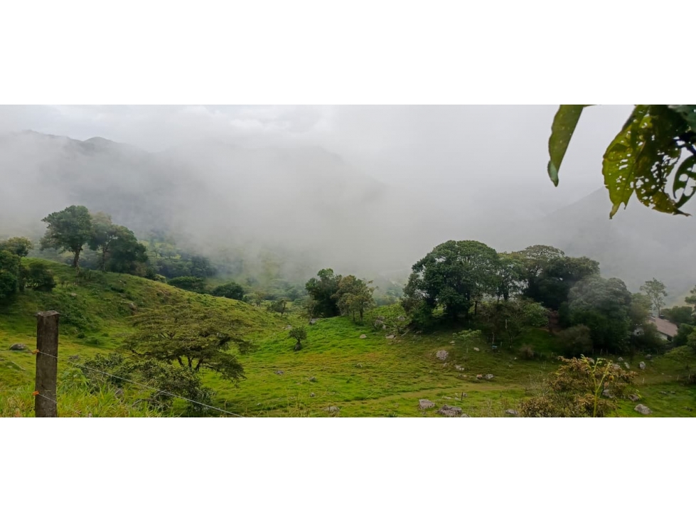 SE VENDE FINCA GANADERA VEREDA SAN BENITO AGUAZUL- VIA PAJARITO BOYACÁ - 4