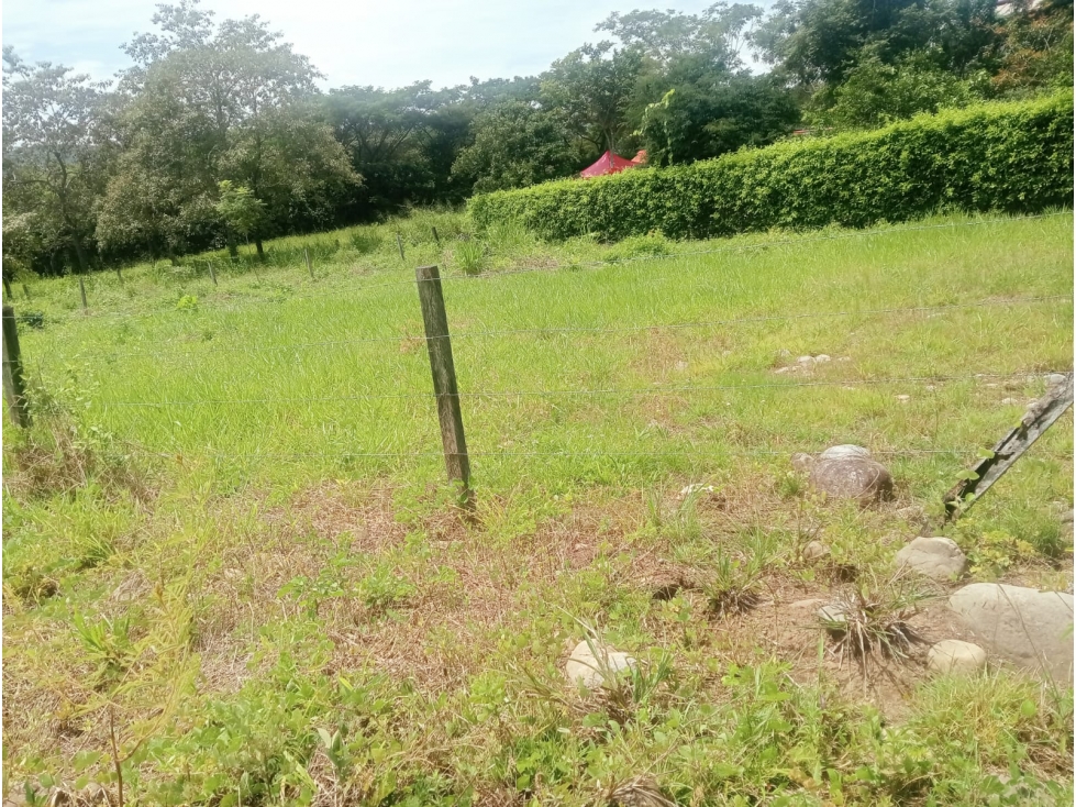 SE VENDE LOTE CAMPESTRE KM 1 YOPAL VIA SIRIVANA SECTOR SORBETO — foto 2