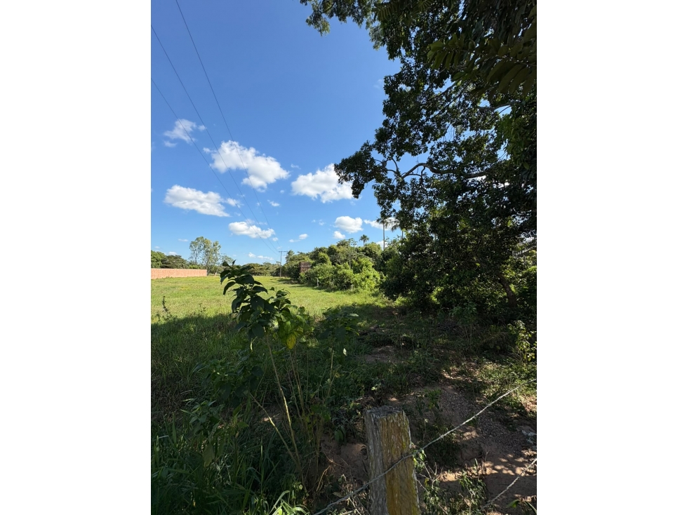 SE VENDE AMPLIO LOTE DE TERRENO CORREGIMIENTO DE MORICHAL — foto 4