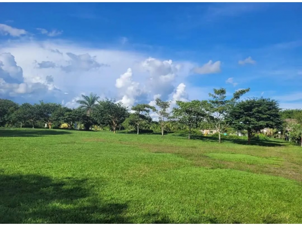 SE VENDEN LOTE CAMPESTRE CONDOMINIO VILLAS DEL PALMAR - MORICHAL - 2