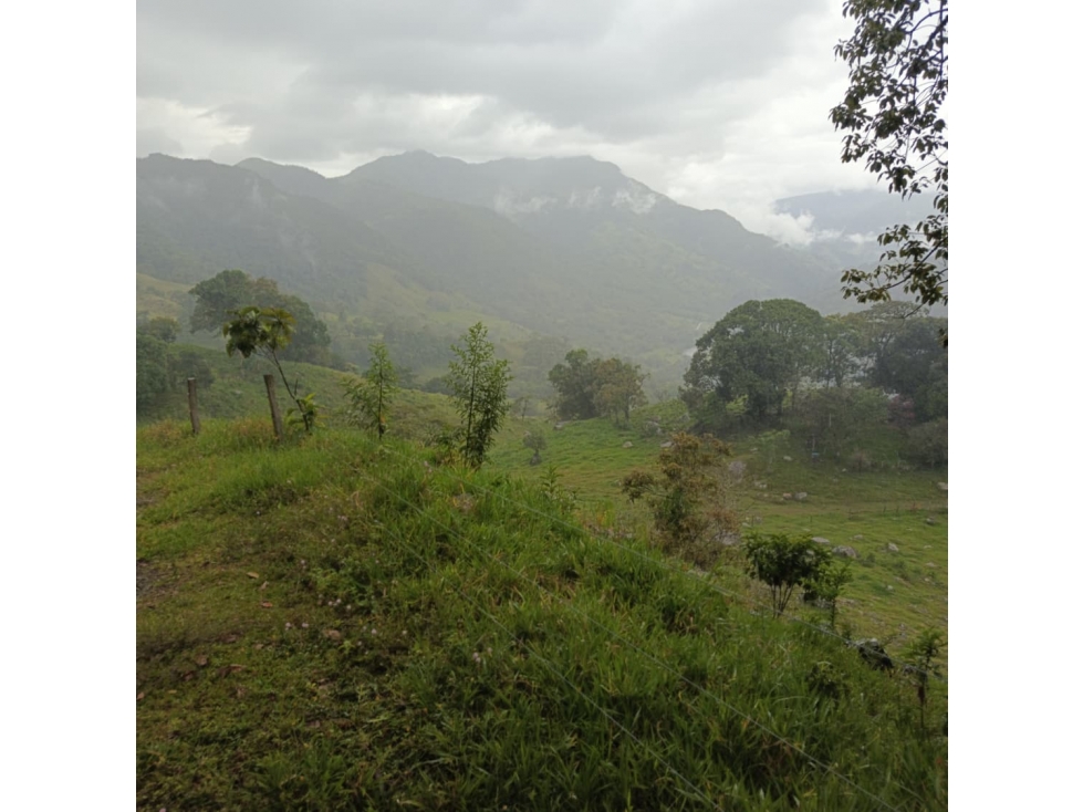 SE VENDE FINCA GANADERA VEREDA SAN BENITO AGUAZUL- VIA PAJARITO BOYACÁ - 5