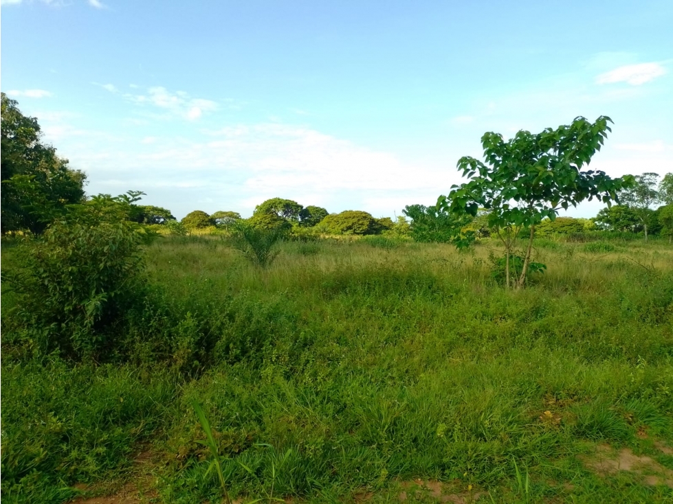 TERRENO EN VENTA ZONA SUB URBANA DE PAZ DE ARIPORO — foto 5