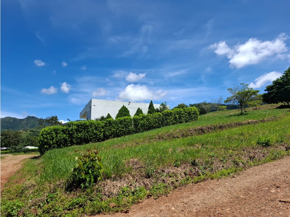 SE VENDE LOTES CAMPESTRES ALTOS DE LAS CAYENAS- GUAFILLA YOPAL — foto 5
