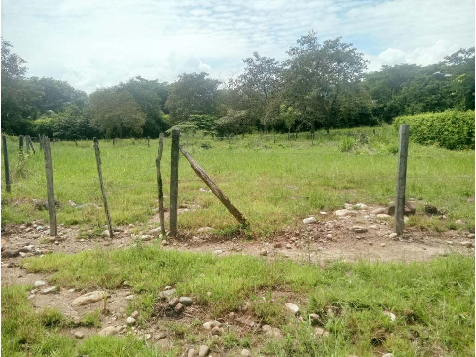 SE VENDE LOTE CAMPESTRE KM 1 YOPAL VIA SIRIVANA SECTOR SORBETO — foto 3