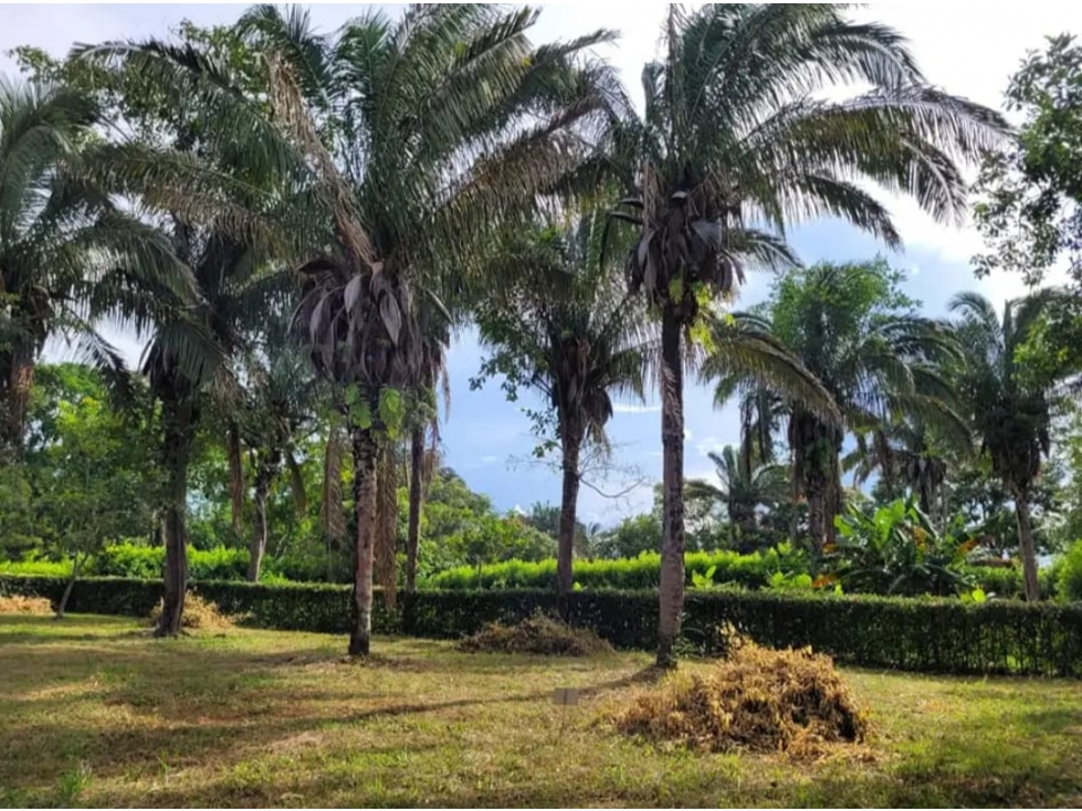 SE VENDEN LOTE CAMPESTRE CONDOMINIO VILLAS DEL PALMAR - MORICHAL - 5