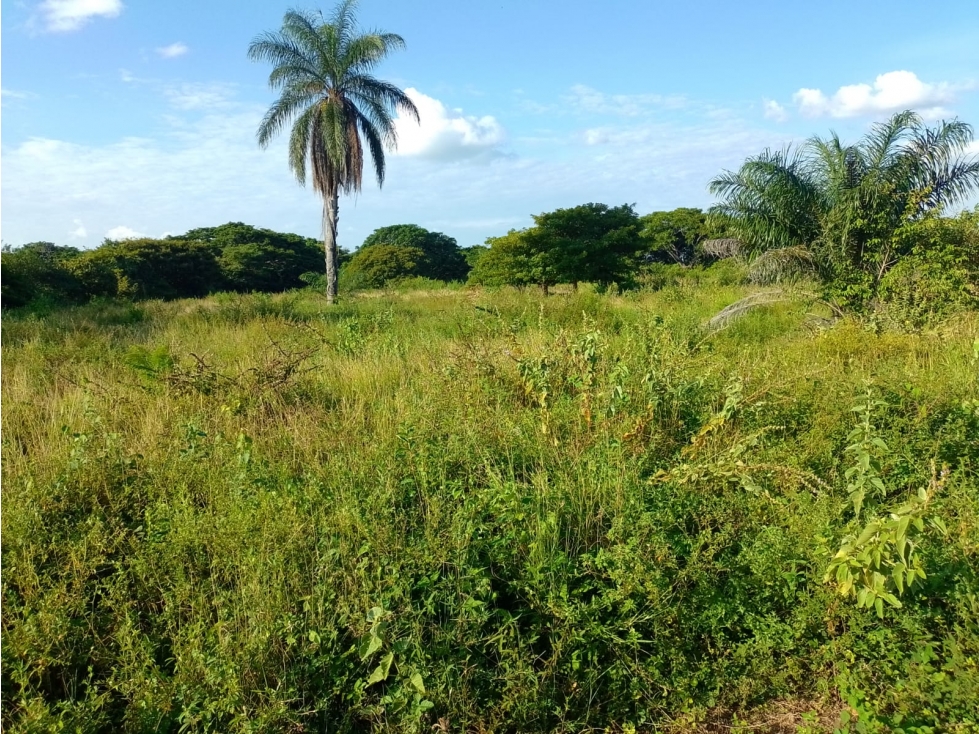 TERRENO EN VENTA ZONA SUB URBANA DE PAZ DE ARIPORO — foto 6