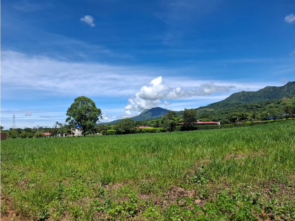 SE VENDE LOTES CAMPESTRES ALTOS DE LAS CAYENAS- GUAFILLA YOPAL — foto 6