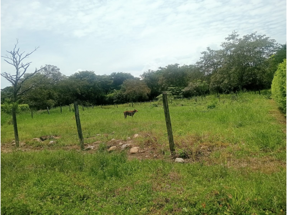 SE VENDE LOTE CAMPESTRE KM 1 YOPAL VIA SIRIVANA SECTOR SORBETO
