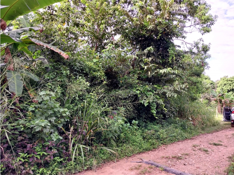 SE VENDE LOTE DE USO RESIDENCIAL EN MANI CASANARE - 5
