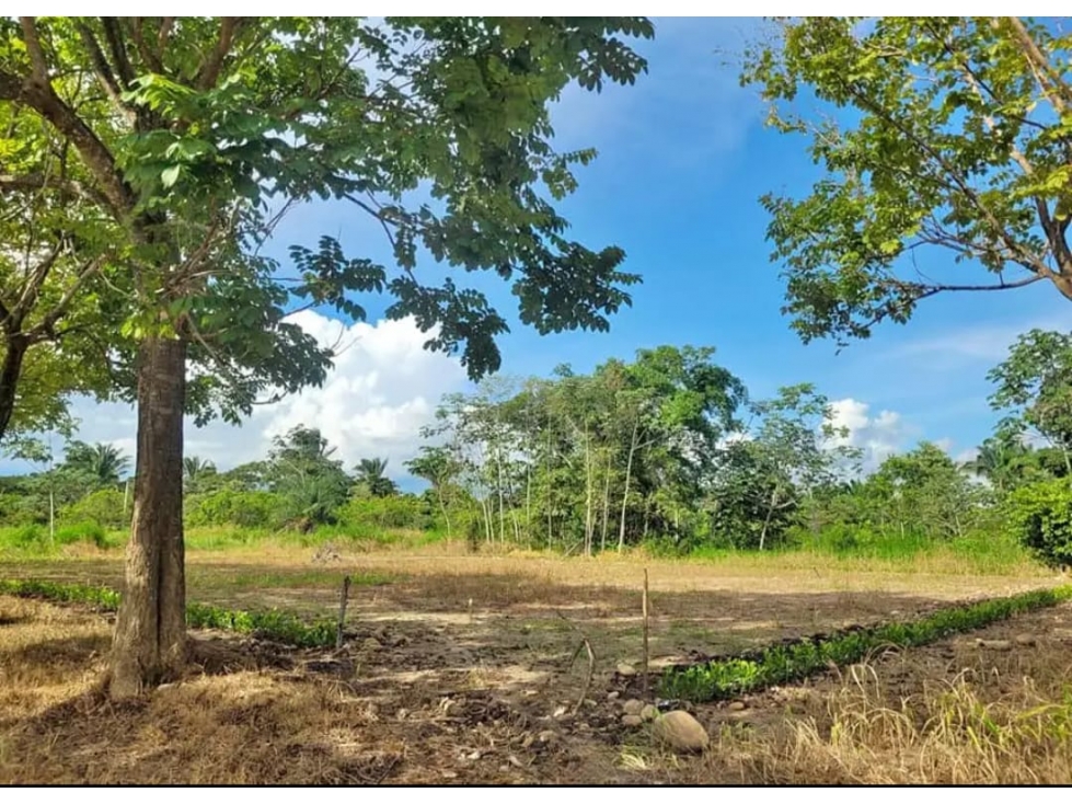 SE VENDEN LOTE CAMPESTRE CONDOMINIO VILLAS DEL PALMAR - MORICHAL - 6