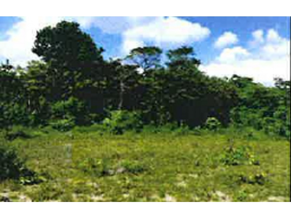 SE VENDE TERRENO EN EL COCO, PENONOMÉ DE 2.75 HECTAREAS - 1
