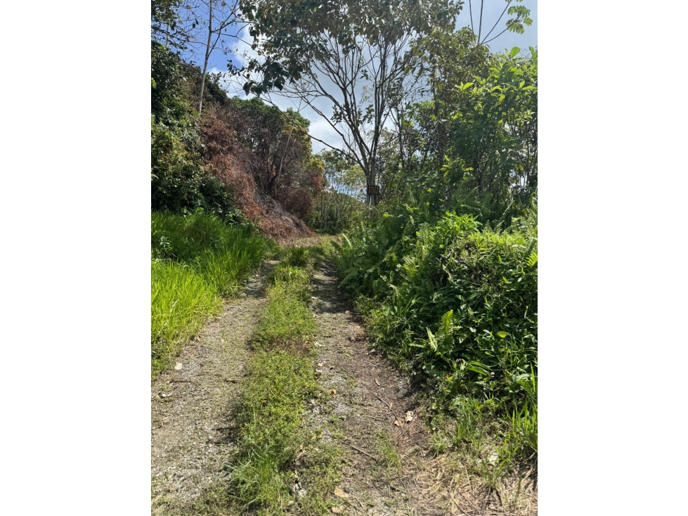 Se vende finca en Ranchería, Llano Grande, La Pintada, Coclé $99,900 - 2