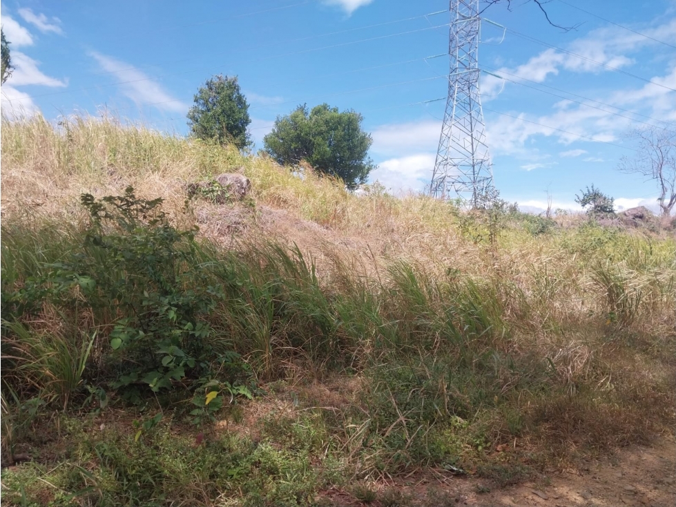 Terreno con 160+mts2 en frente a la via el Copé, Penonomé 2.1 HA - 3