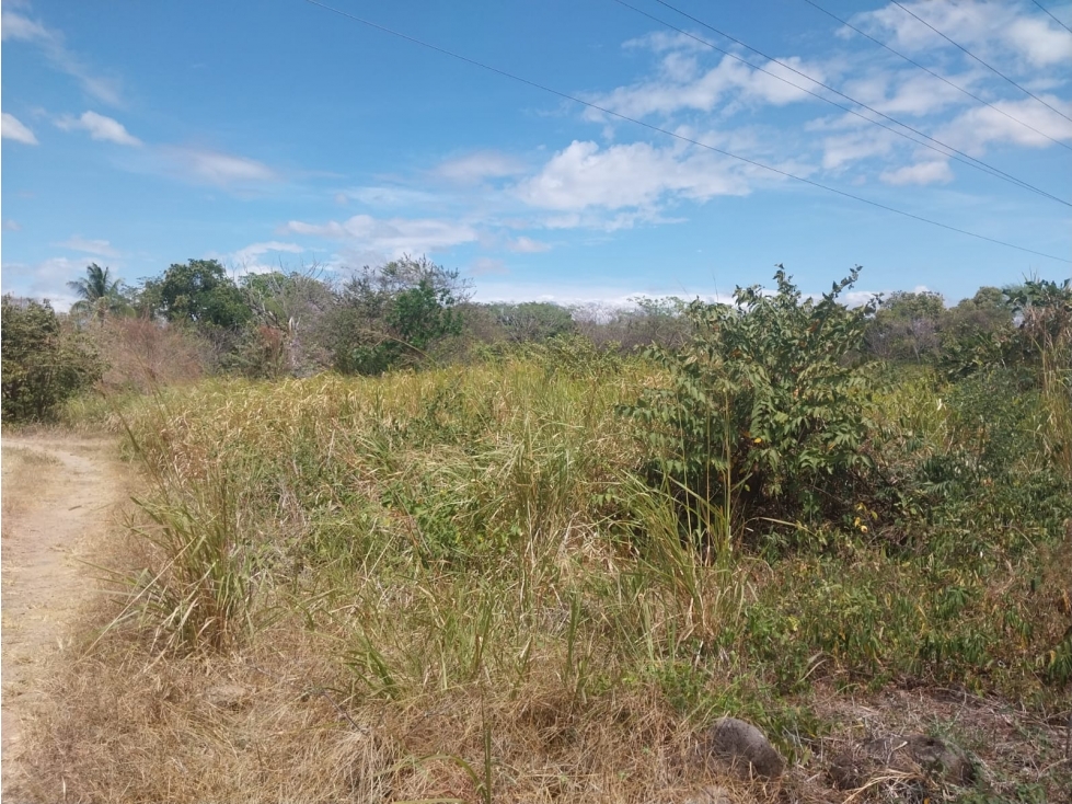 Terreno con 160+mts2 en frente a la via el Copé, Penonomé 2.1 HA - 4