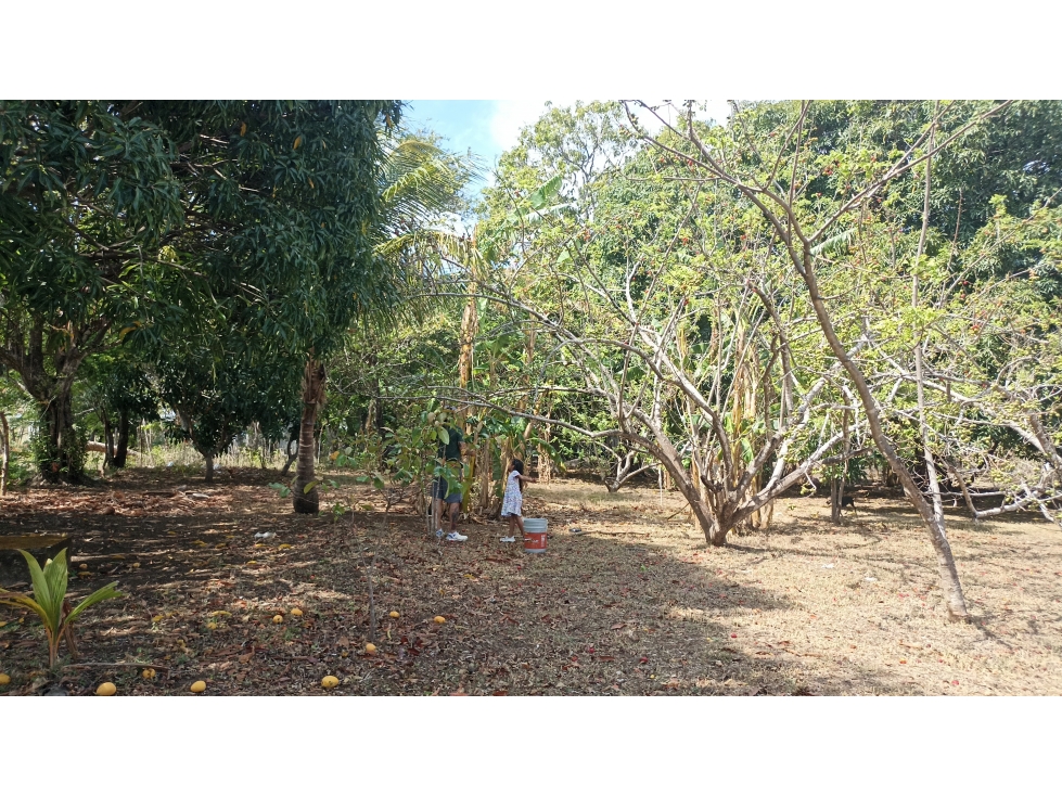 Se vende casa de campo con amplio terreno en Sta Lucía, El Caño, Natá - 2